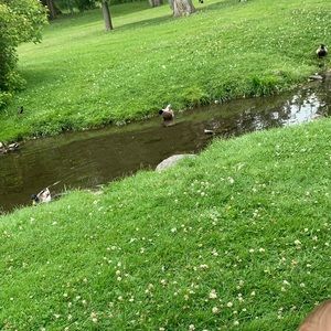 Meet your Posher, Erinn